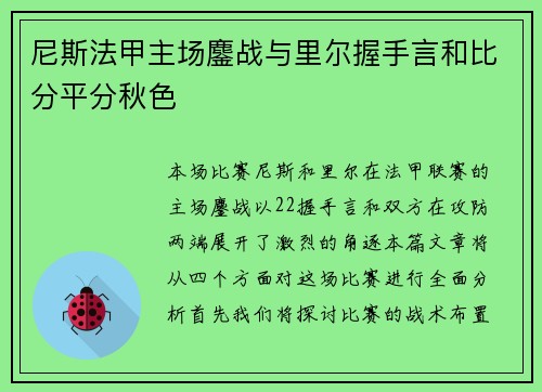 尼斯法甲主场鏖战与里尔握手言和比分平分秋色